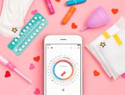 Siklus Menstruasi yang Normal