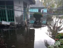 Air Laut Pasang, Ratusan Rumah Warga Padang Bakung Seluma Terendam
