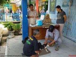 Ayo Segera Vaksinasi Peliharaan Anda, Pemkot Bengkulu Siapkan Vaksin Gratis