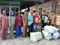 Ratusan Kelompok Tani Rejang Lebong Dapat Bantuan Bibit Padi Unggul