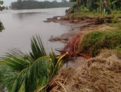 Abrasi Ancam Pemukiman dan Lahan Sawah Warga Pasar Seluma