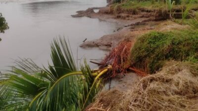 Pembangunan Breakwater Pantai Seluma Disesuaikan Kontur Tanah