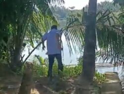 Beredar Video Seorang Oknum Kepala Desa di Seluma Lari Terbirit-Birit Saat Ditagih Hutang