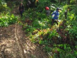 Harga Kopi Naik, Akses Jalan Sekalak Seluma Jadi Kendala