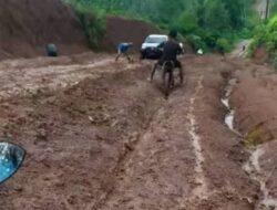 Akses Jalan Padang Capo Seluma Kian Memprihatinkan