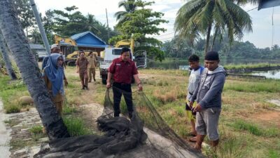 Pemprov Bengkulu Bakal Bagikan Tiga Ton Ikan Bandeng Gratis, Catat Tanggalnya