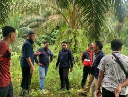 Akhir Bulan, Tower Telkomsel Dibangun di Ulu Talo Seluma