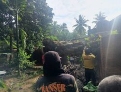 Pohon Tumbang Hantam Rumah Warga, Satu Orang Tertimpa Reruntuhan