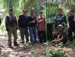 Waspada! Serangan Beruang, Warga Seluma Sudah Jadi Korban
