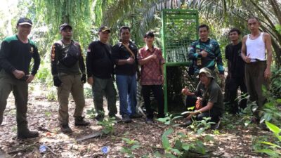 Waspada! Serangan Beruang, Warga Seluma Sudah Jadi Korban
