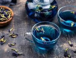 8 Kelompok Orang yang Harus Hindari Teh Bunga Telang