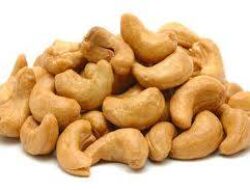 Kacang Mete Camilan Lezat yang Menyehatkan