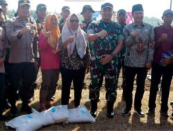 Program Ketahanan Pangan, Manfaatkan Lahan Kurang Produktif dengan Tanam Jagung dan Padi Gogo