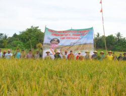 Gapoktan Cugung Kecik Dukung Program Pertanian Gubernur