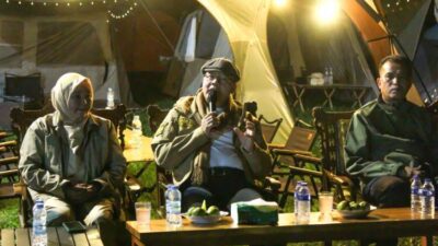 Banyak Kawasan Hutan Alih Fungsi, Harimau Sumatera Terancam Punah