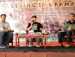 Populasi Harimau Sumatera Terancam Punah