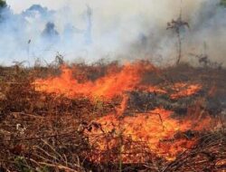 Cegah Karhutla, Warga Diminta Hentikan Rutinitas Bakar Sampah
