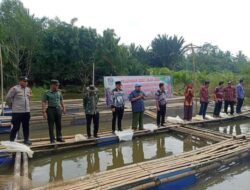 Program Ketahanan Pangan Seluma, 20.000 Bibit Ikan Dilepas