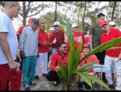 Seribu Bibit Kelapa Ditanam di Wisata Laut Biru Kota Tuo Bengkulu