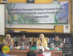 Sosialisasi Penerapan Budidaya Jagung Sesuai SNI
