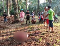 Waspada! Pencurian Ternak, Warga Talang Tinggi Jadi Korban