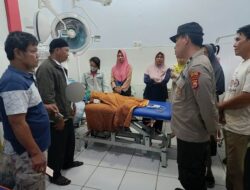 Korban Meninggal Tertimpa Pohon yang Sengaja Ditebang Bertambah