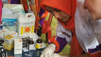 Kasus Gigitan Hewan Penular Rabies di Kota Bengkulu Cukup Tinggi