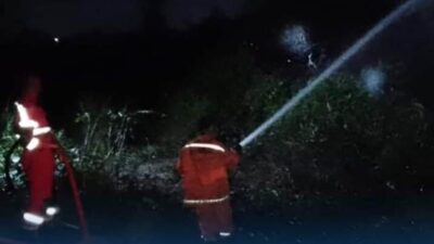 Sehari Sampai Tiga Kasus Kebakaran Lahan di Kota Bengkulu