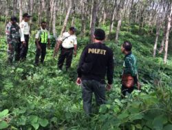 Jejak Harimau Ditemukan di Seluma