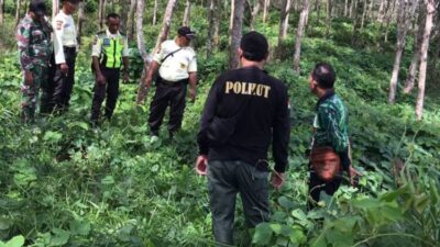 Jejak Harimau Ditemukan di Seluma