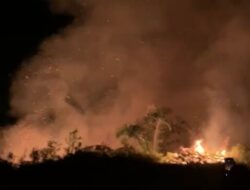 Kebakaran Lahan Kembali Terjadi di Areal Perkantoran Bupati Seluma
