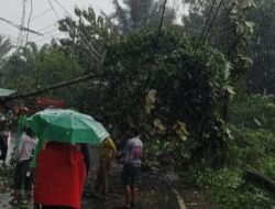 Longsor Kembali Terjadi di Seluma
