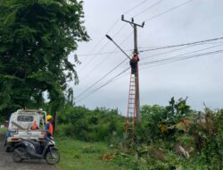 Cuaca Ekstrim, Belasan Tiang Listrik PLN Roboh di Seluma