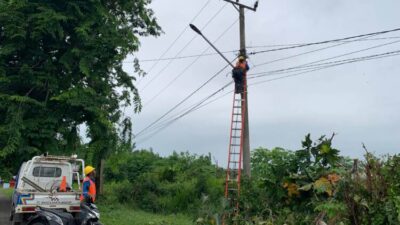 Cuaca Ekstrim, Belasan Tiang Listrik PLN Roboh di Seluma