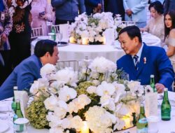 Sultan Puji Keberanian dan Sikap Kritis Presiden Prabowo Di KTT D8 Mesir