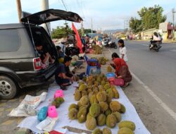 Pedagang Dilarang Jualan di Alun-alun Tais