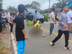 Lakalantas di Seluma Telan Puluhan Korban Jiwa Sepanjang Tahun 2024