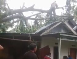 Cuaca Ektrem, Rumah Warga Ilir Talo Nyaris Ambruk