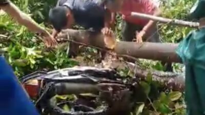 Tragis, Pulang Mengajar Guru PPPK di Seluma Tertimpa Pohon Tumbang