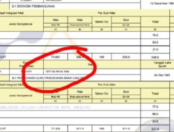 Waduh, Kepala Desa Aktif di Seluma Lulus PPPK Guru