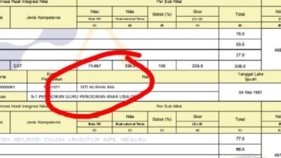 Waduh, Kepala Desa Aktif di Seluma Lulus PPPK Guru