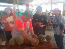 Festival Durian Langka II Rejang Lebong Digelar, 71 Jenis Varietas Dinilai