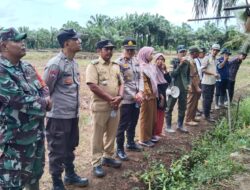Pemdes Lubuk Gedang Laksanakan Penanaman Jagung Serentak
