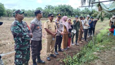 Pemdes Lubuk Gedang Laksanakan Penanaman Jagung Serentak