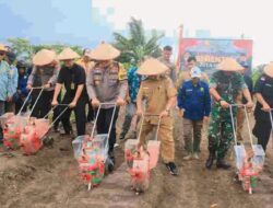 Dukung Swasembada Pangan, Polres Bersama Pemkab Kaur Tanam Jagung