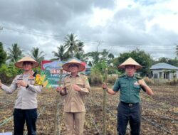 DPRD Apresiasi Penanaman Jagung Serentak yang Digelar Polres Rejang Lebong