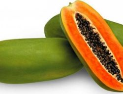 5 Buah Andalan untuk Diet Sehat, Bikin Kenyang Lebih Lama