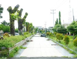 Jalan S Parman Akan Disulap Jadi Kawasan Kreatif Ala Malioboro Bengkulu