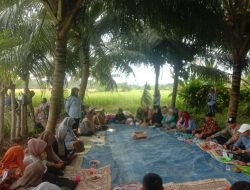 Dukung Ketahanan Pangan, Kelompok Tani Wanita Desa Ketaping Panen Padi Perdana