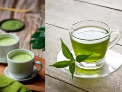Matcha vs Teh Hijau, Mana yang Lebih Baik untuk Kesehatan
